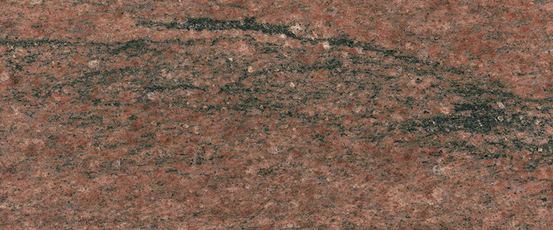 Multicolor Cardenal